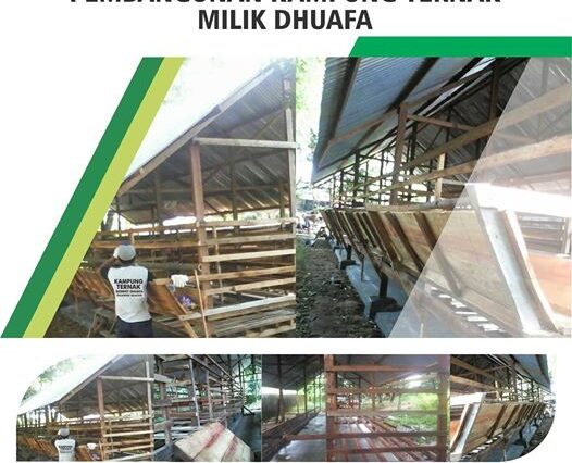 MARI WUJUDKAN PETERNAKAN MILIK DHUAFA