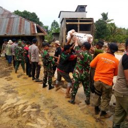 Bantuan Korban Longsor Luwu Timur