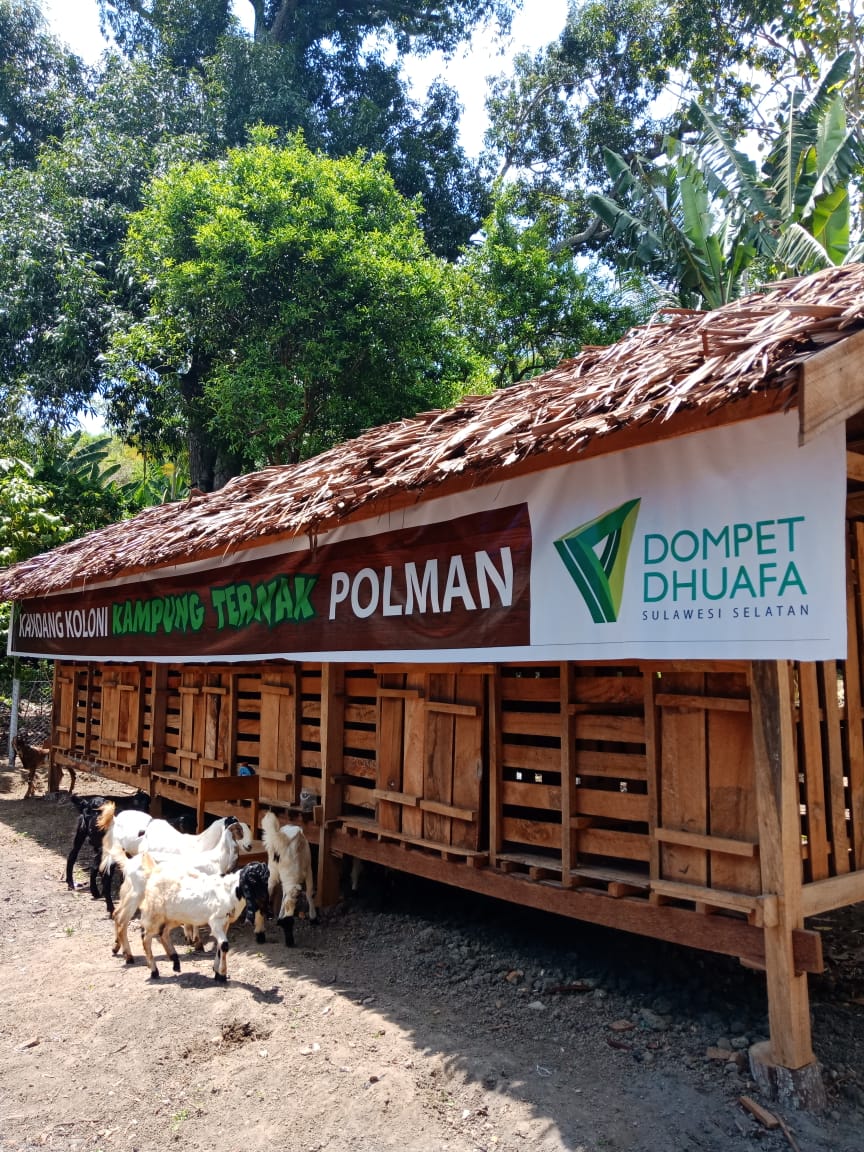 Dompet Dhuafa Sulsel Launching Program Kampung Ternak di Polman
