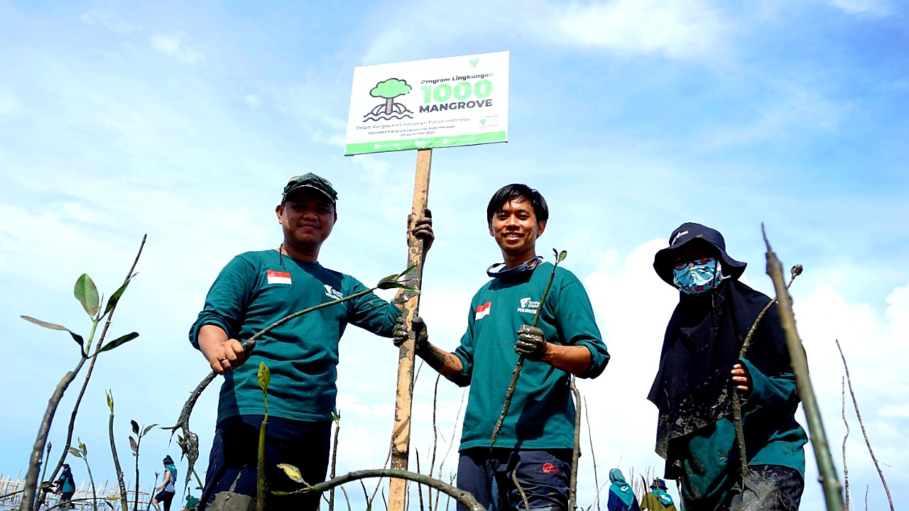 Hari Menanam Pohon Indonesia, Dompet Dhuafa Tanam 1.000 Mangrove di Lantebung